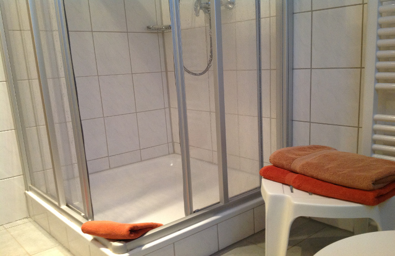 Fewo 1 Grete Schäfer Dusche im Badezimmer