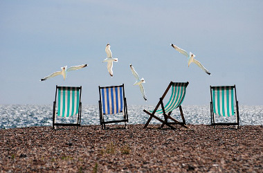 möwen am strand